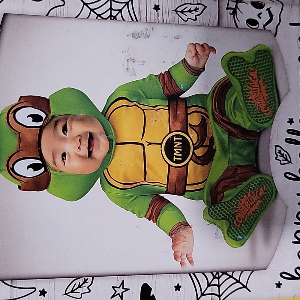 Nickelodeon Teenage Mutant Ninja Turtles Infant Costume - Green and Brown. New.